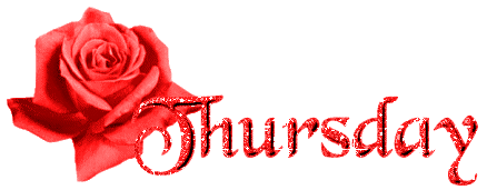 Czerwona róża z brokatowym napisem czwartek